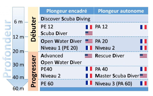 Niveaux de formations