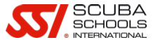 Logo SSI