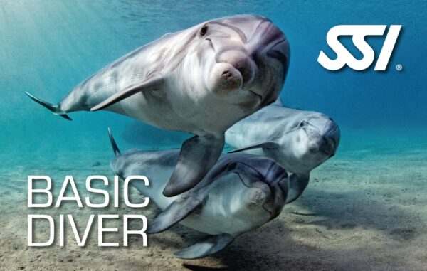 SSI - Basic Diver