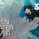 SSI - Open Water